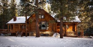 Log Home Preservation